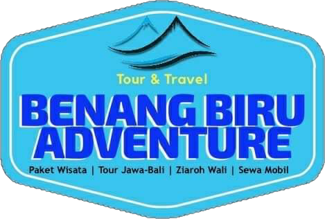 Logo Benang Biru Sejahtera
